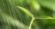 初期雨水什么情形下需納入排污許可？